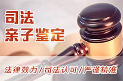 郴州司法DNA鉴定详细流程，郴州司法亲子鉴定收费是多少
